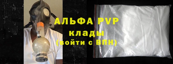 прущие грибы Богданович
