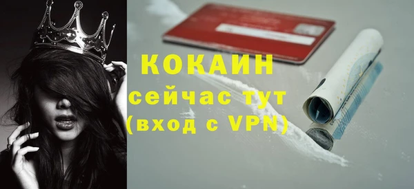 прущие грибы Богданович