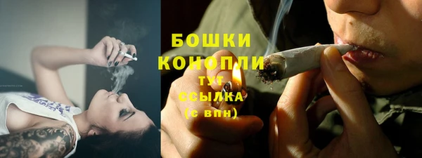 прущие грибы Богданович