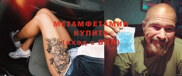 прущие грибы Богданович