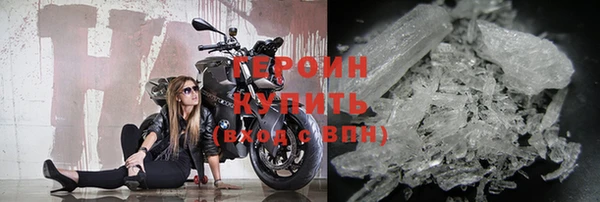 прущие грибы Богданович